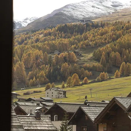 Carcent Pancuch * Livigno
